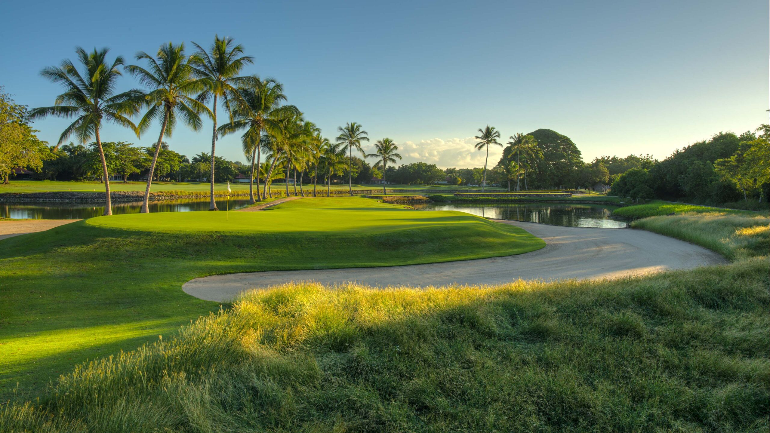 The Links Course