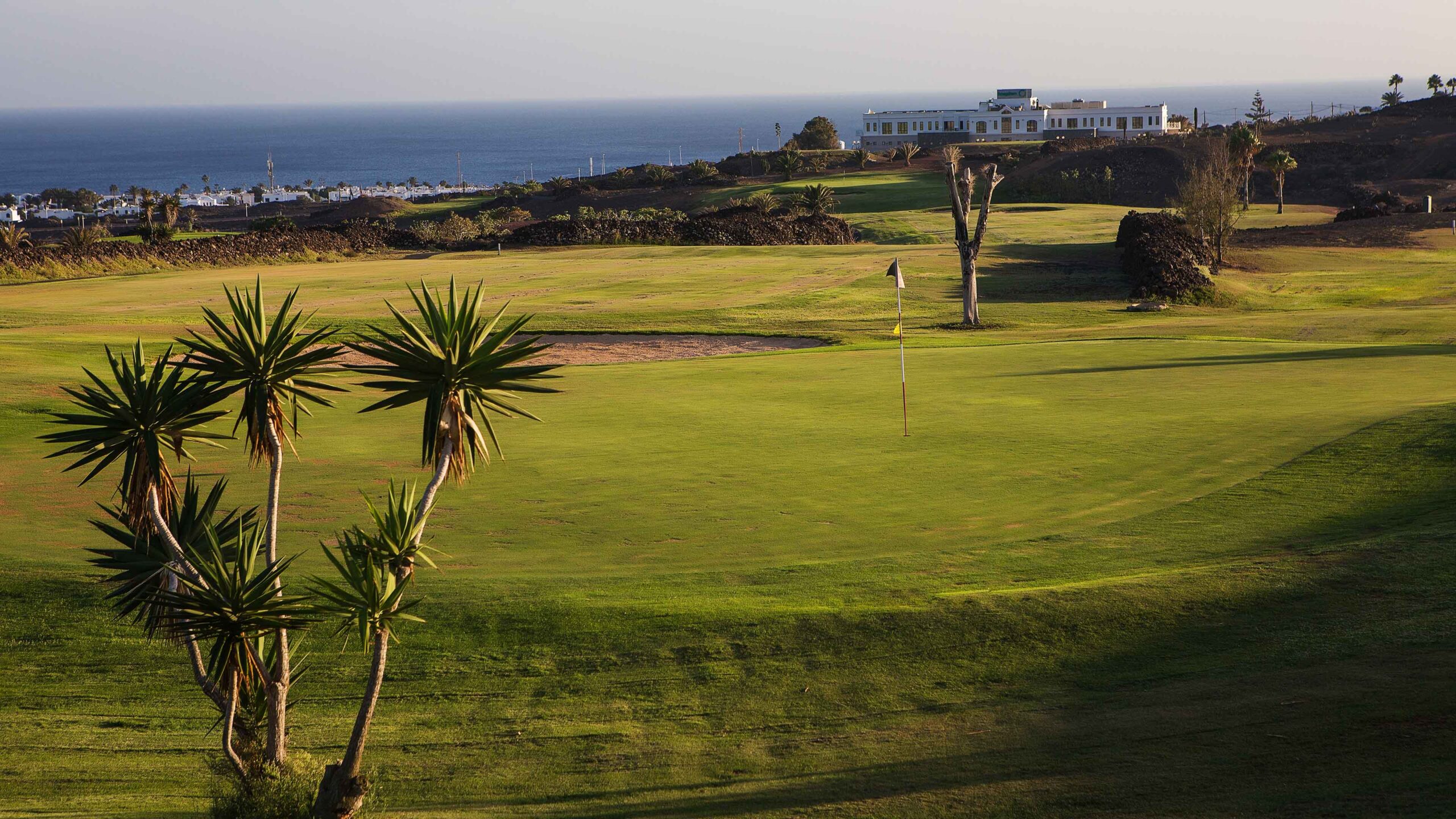 Golfplatz_mit_Palmen