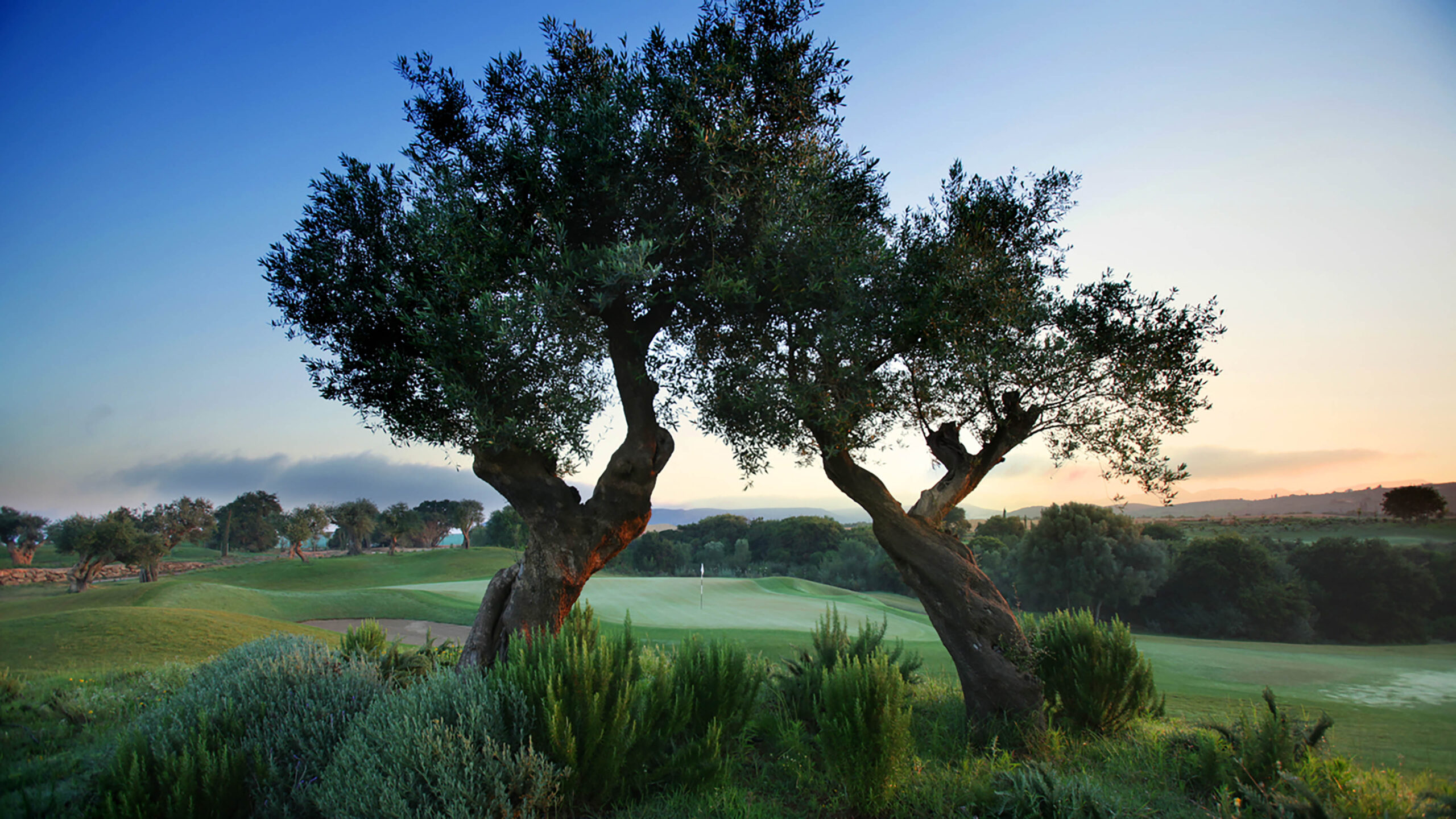 Golfplatz_Morgenstimmung