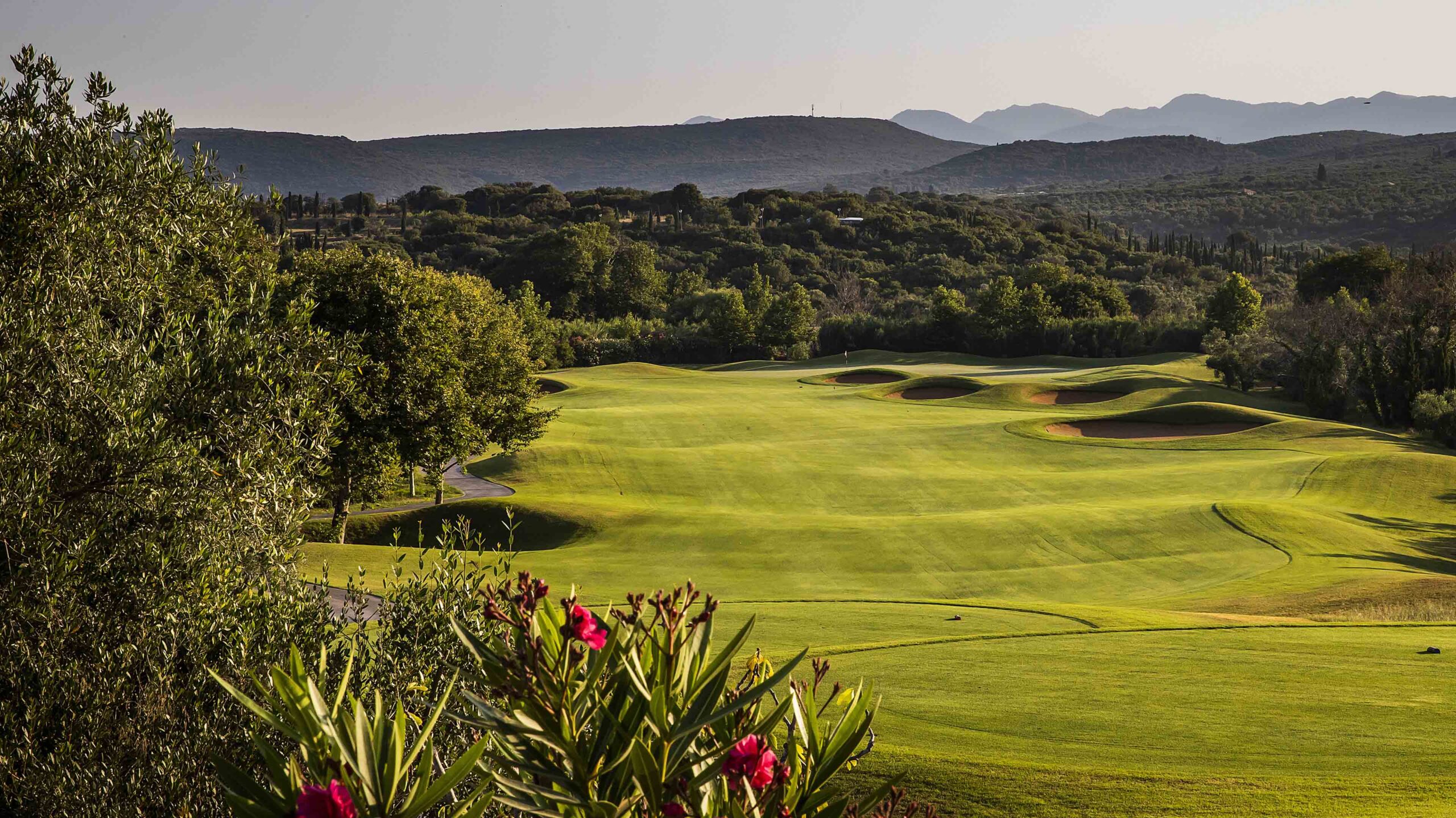 Golfplatz_Blick_in_die_Ferne