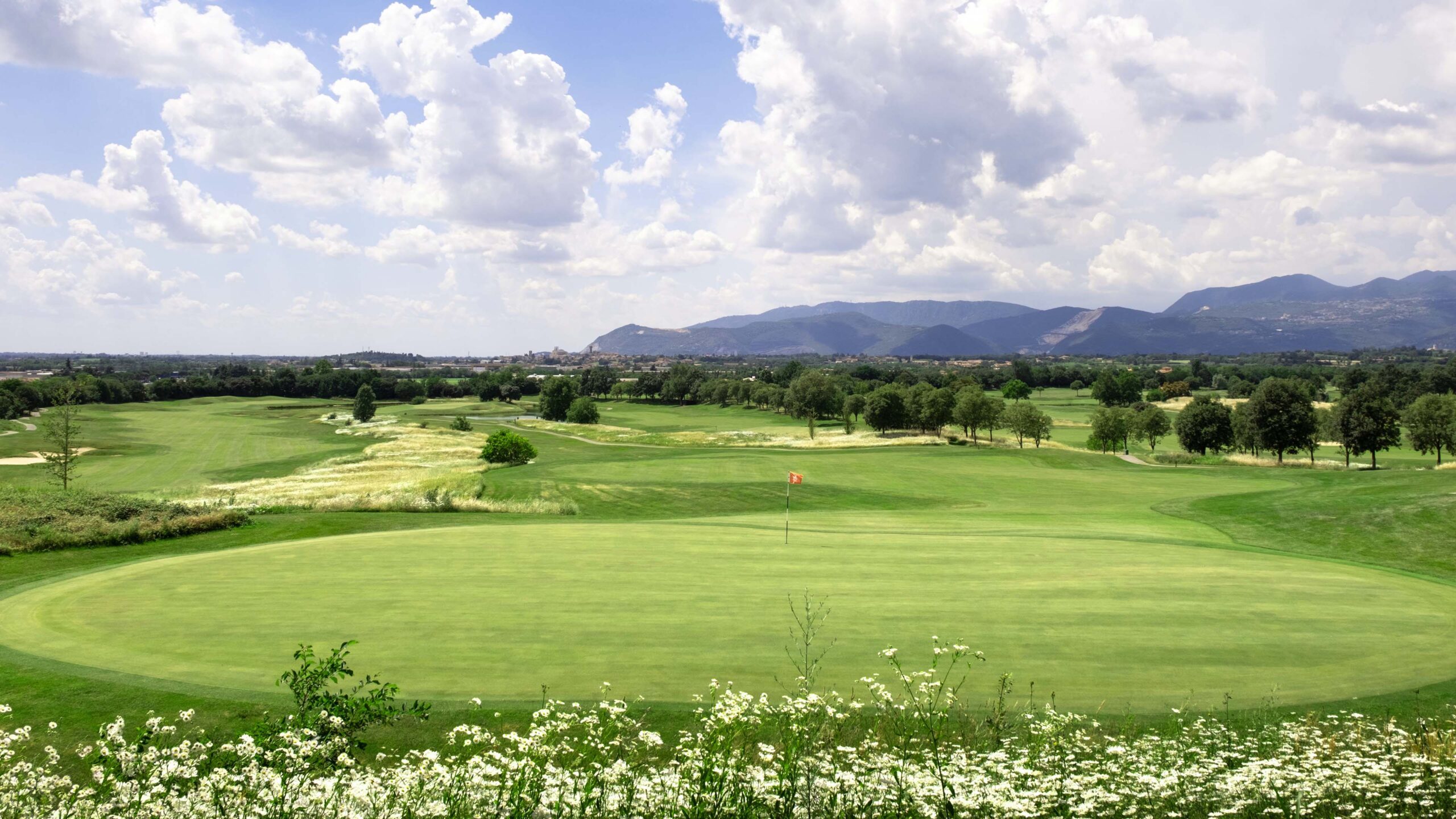 Golfplatz_im_Sommer