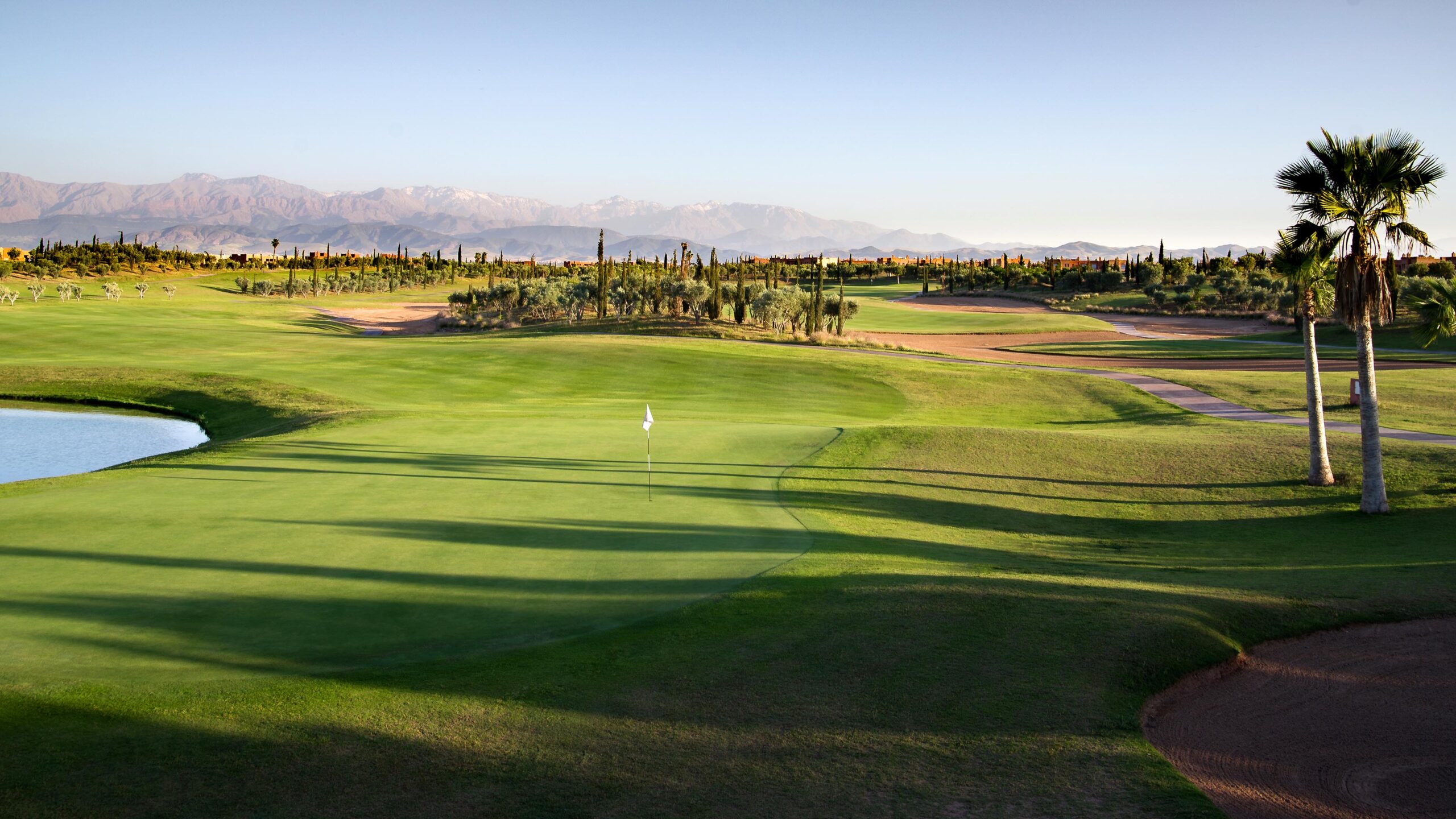 Golfplatz_Green_mit Palmen