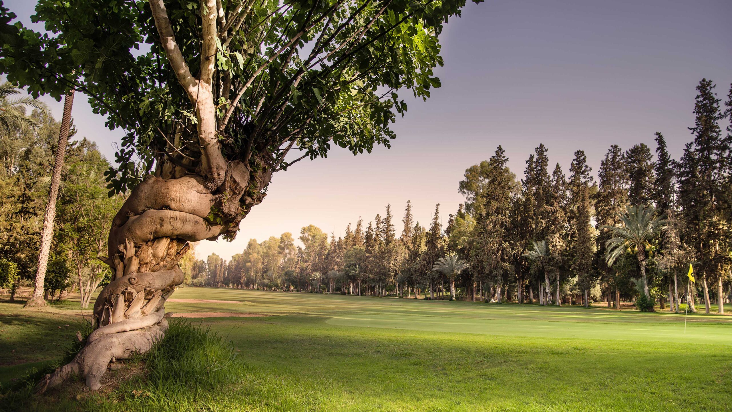 Royal Golf Marrakech