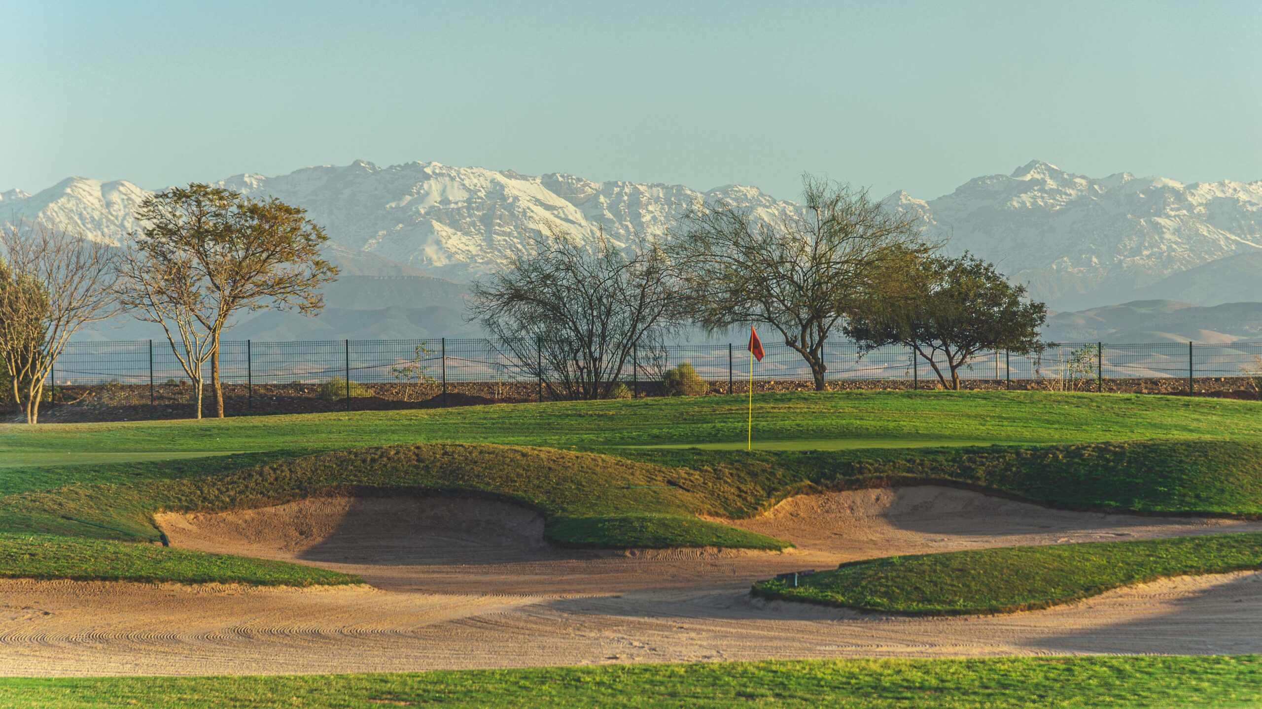 Golfplatz_Green_am_Morgen