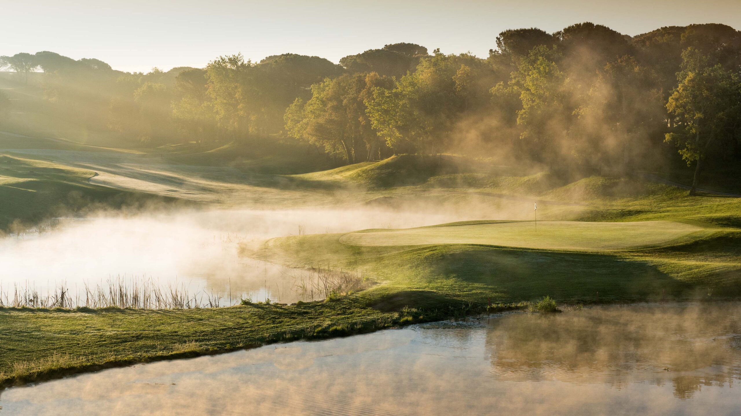 Golfplatz_Morgennebel