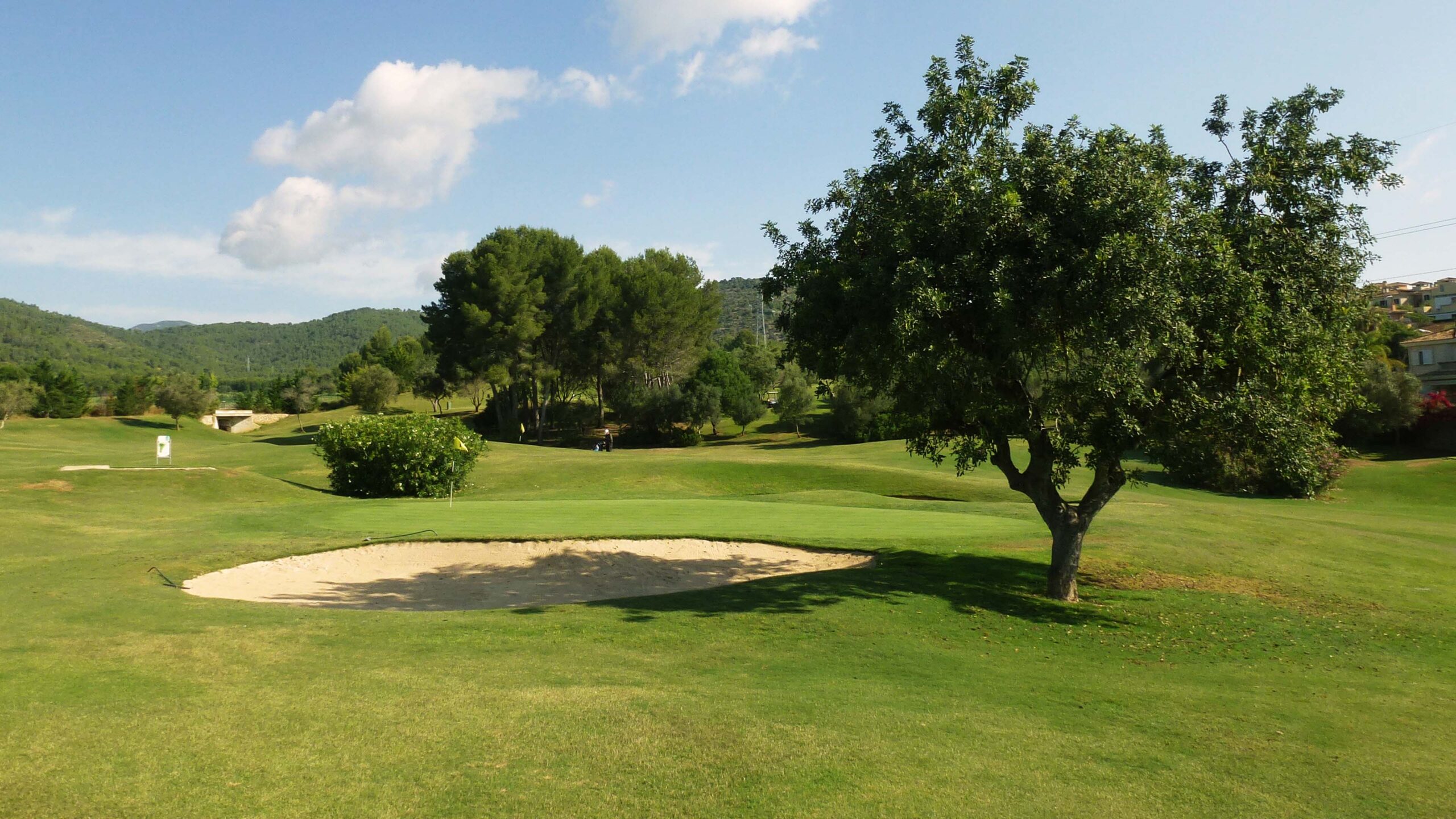 Golfplatz_Bunker_und_Baum