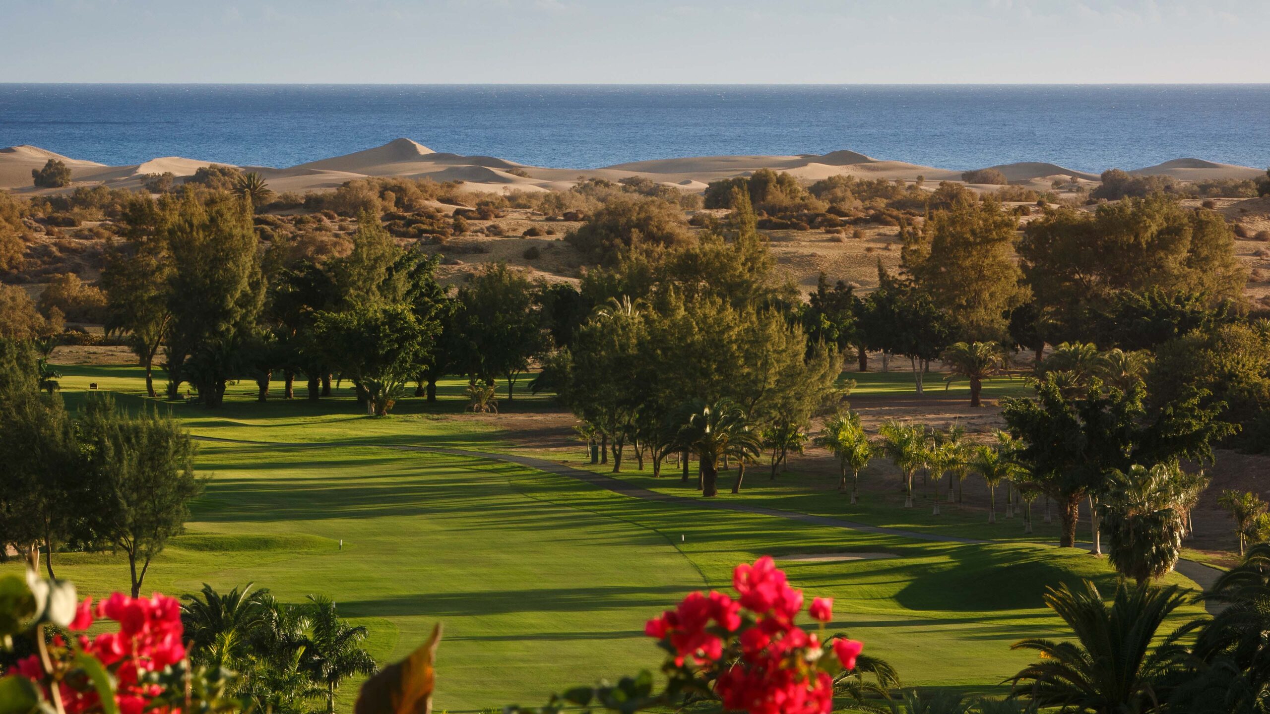 Golfplatz_Green_vor_dem_Meer