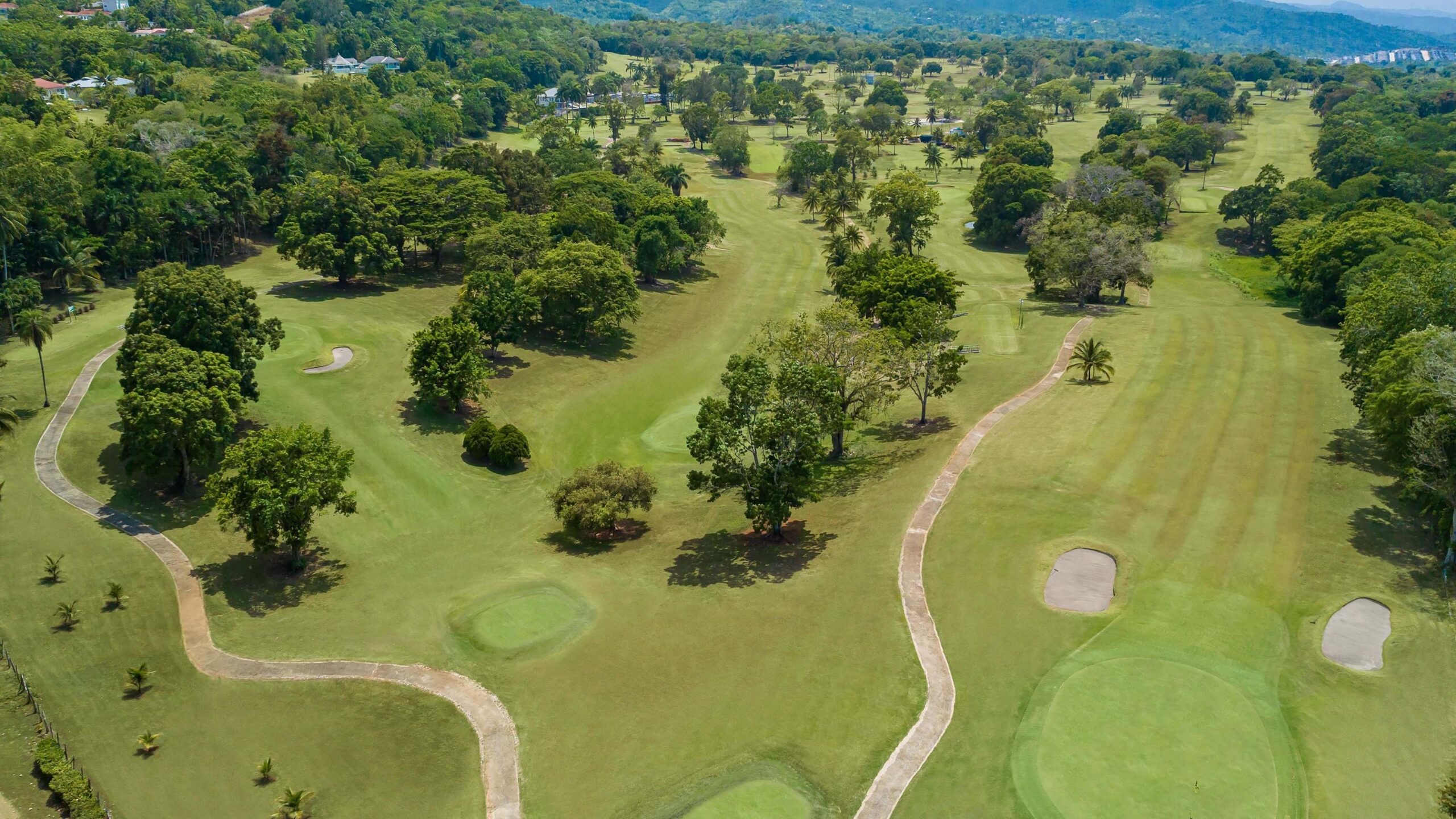 Golfplatz_mit_Bäumen