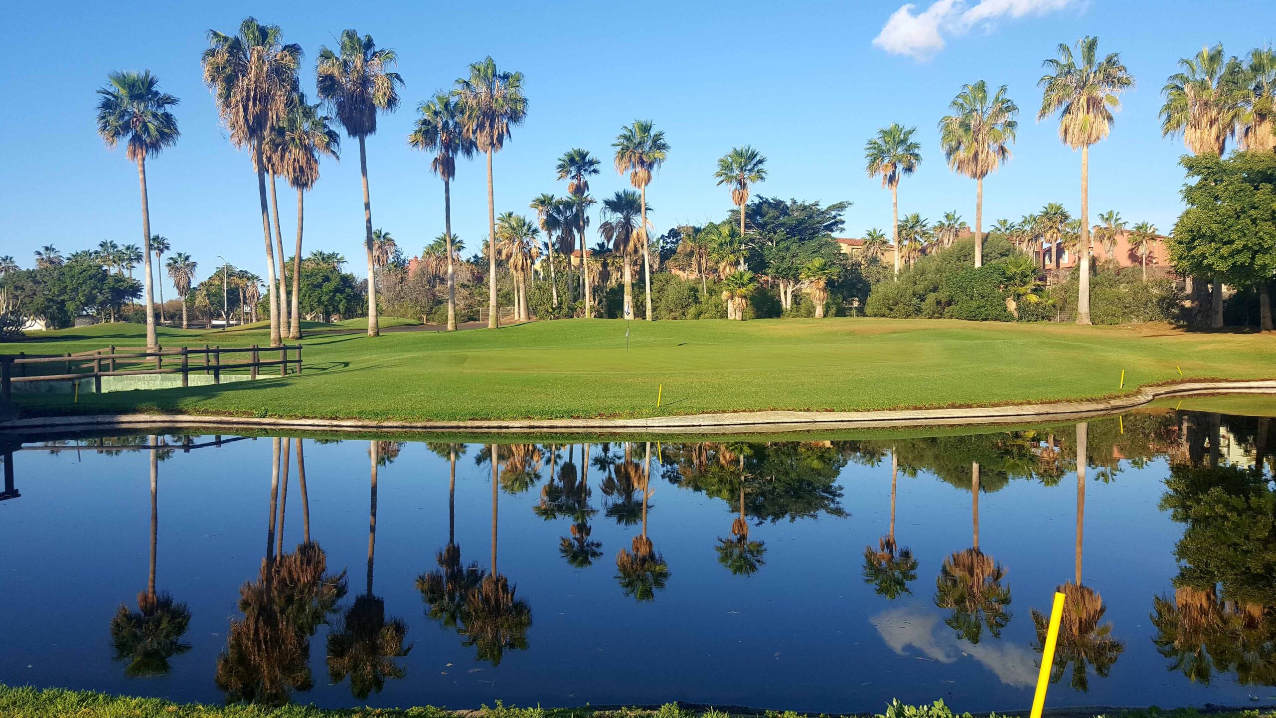 Golfplatz_mit_Palmen